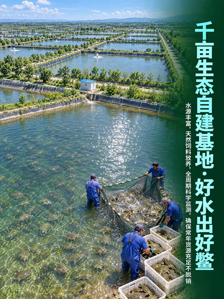 养殖基地展示