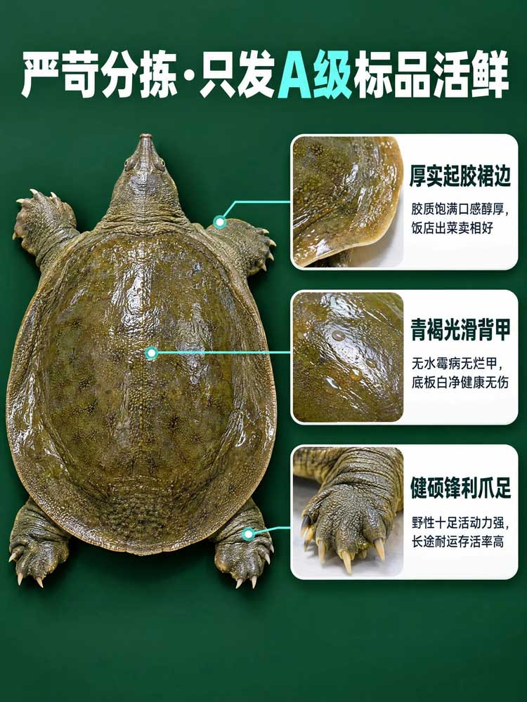 产品品质展示