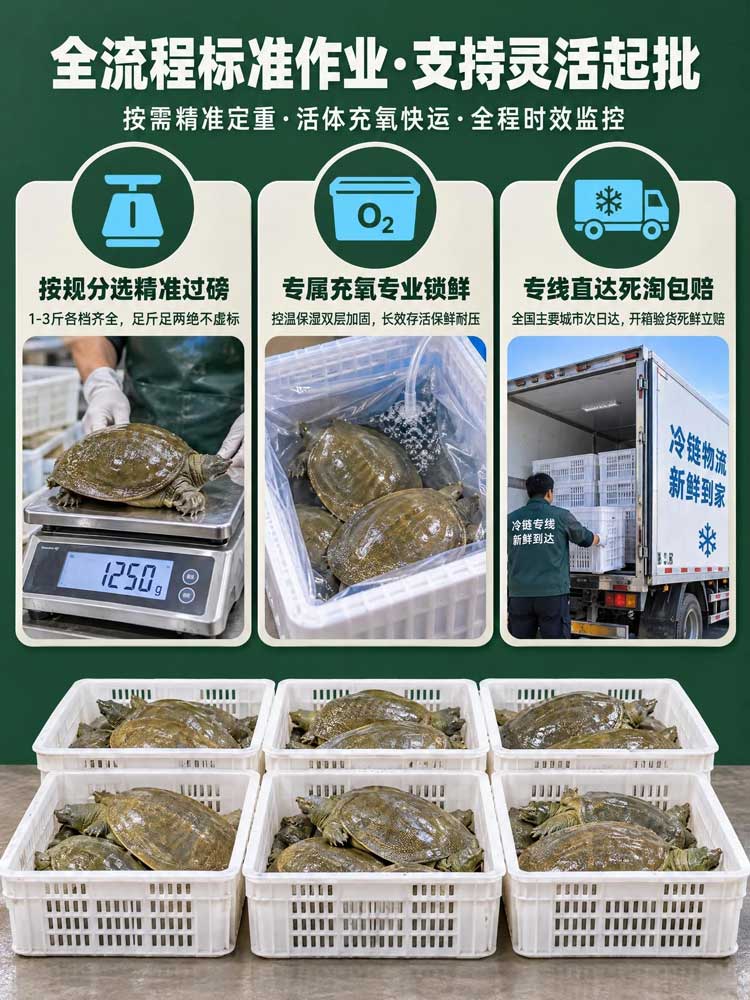 批发合作模式