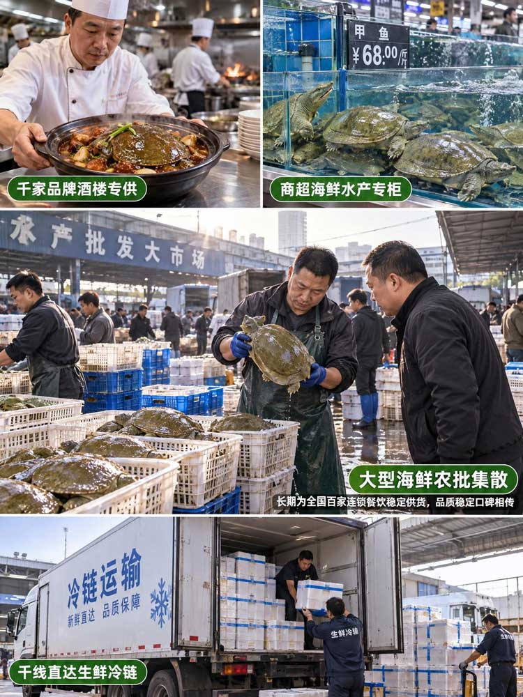 合作客户展示